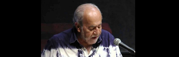 Arif Dirlik: The Idea of a ‘Chinese Model’