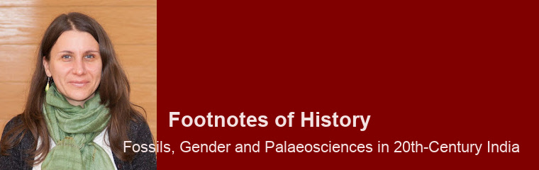 Footnotes of History: Lecture by Amelia Bonea banner